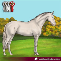 Horse Color:Smoky Creme 
