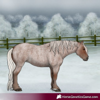 Horse Color:Silver Blue Roan 