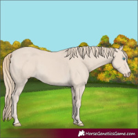 Horse Color:Smoky Creme 