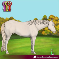 Horse Color:Smoky Creme 