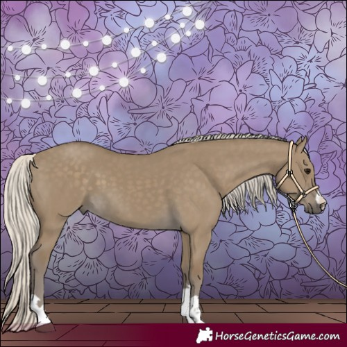 Horse Color:Silver Smoky Grullo
