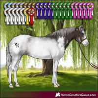 Horse Color:Silver Brown Sabino 