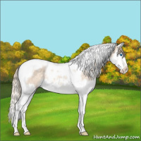 Horse Color:Perlino Mushroom Splash Tobiano Appaloosa 