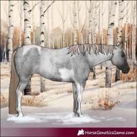 Horse Color:Liver Red Roan Tobiano 