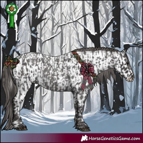 Horse Color:Smoky Blue Roan  and Smoky Blue Roan Near Leopard 