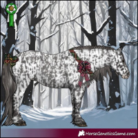 Horse Color:Smoky Blue Roan  and Smoky Blue Roan Near Leopard 