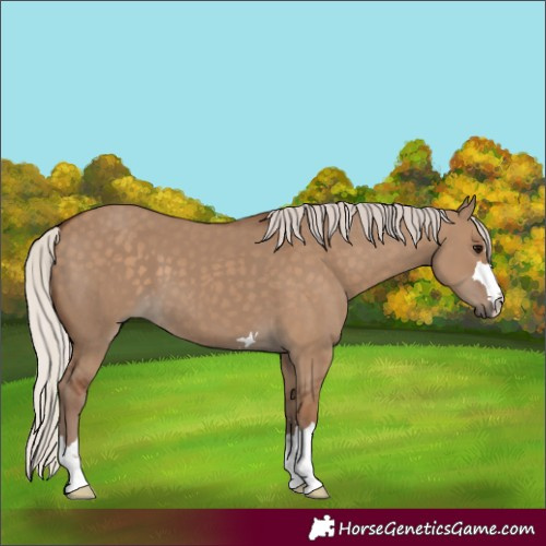 Horse Color:Silver Grullo 