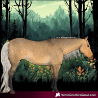 Horse Color:Silver Buckskin Dun 