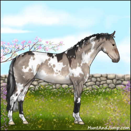 Horse Color:White Spotted Brown Dun Mushroom 