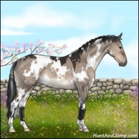 Horse Color:White Spotted Brown Dun Mushroom 