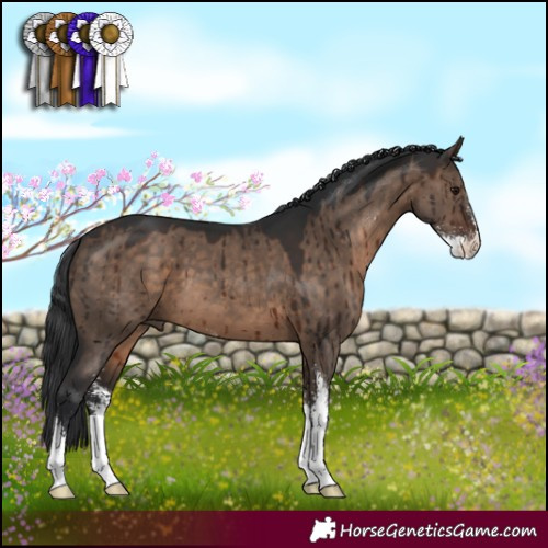 Horse Color:Brown Dun Sabino Brindle 
