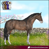 Horse Color:Brown Dun Sabino Brindle