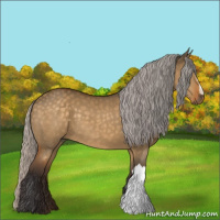 Horse Color:Silver Buckskin Dun