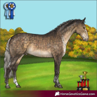 Horse Color:Silver Brown Dun Sabino  and Silver Buckskin Sabino 