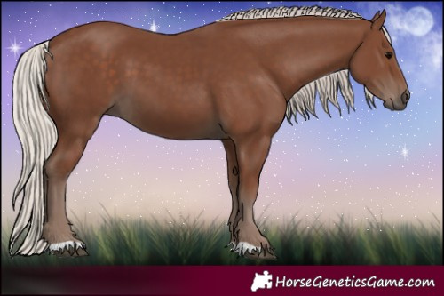 Horse Color:Silver Black 