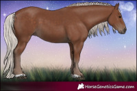 Horse Color:Silver Black 