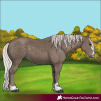 Horse Color:Silver Black 