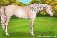 Horse Color:Gray Cremello Tobiano 