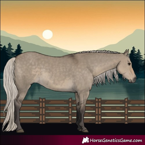 Horse Color:Silver Smoky Grullo 