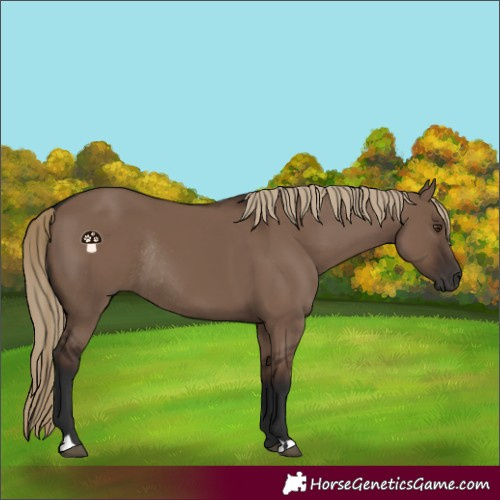 Horse Color:Liver Red Dun Rabicano 