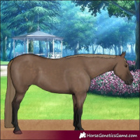 Horse Color:Liver Red Dun Rabicano 