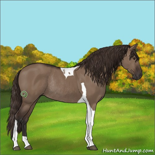 Horse Color:Liver Red Dun Tobiano Rabicano