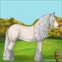 Horse Color:Silver Smoky Creme Sabino 