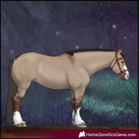 Horse Color:Liver Red Dun Rabicano 