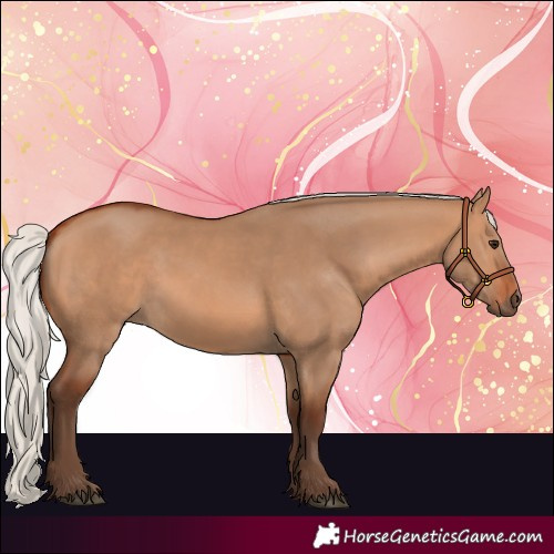 Horse Color:Silver Bay Dun 