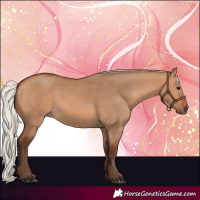 Horse Color:Silver Bay Dun