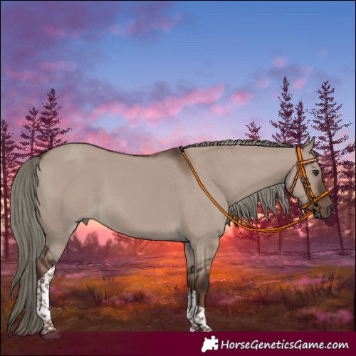 Horse Color:Liver Red Dun Mushroom Tobiano Rabicano 