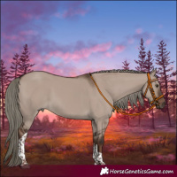 Horse Color:Liver Red Dun Mushroom Tobiano Rabicano