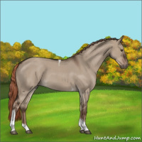 Horse Color:Liver Red Dun Roan Tobiano Rabicano