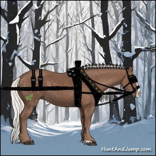 Horse Color:Silver Black Splash 