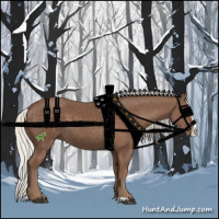 Horse Color:Silver Black Splash