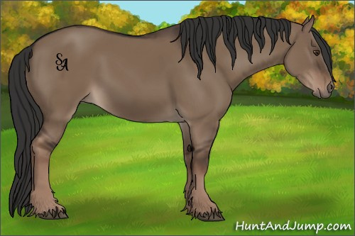 Horse Color:Liver Red Dun Rabicano 