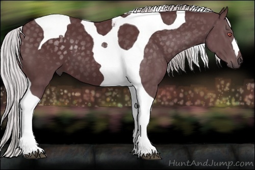Horse Color:Chocolate Silver Black Chinchilla Tobiano 
