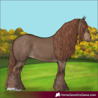 Horse Color:Liver Red Dun Rabicano 