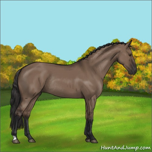 Horse Color:Liver Red Dun Rabicano
