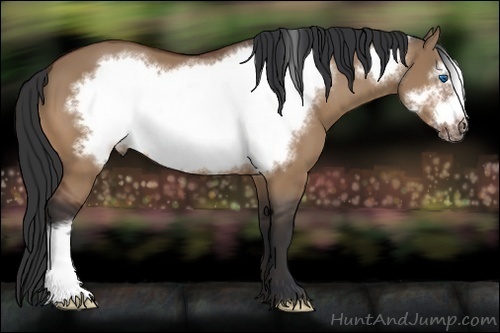 Horse Color:Bay Dun Frame 