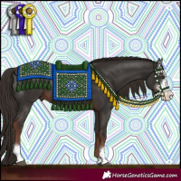 Horse Color:Liver Chestnut Sabino