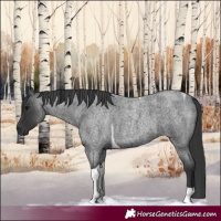 Horse Color:Blue Roan Tobiano 