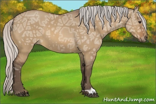 Horse Color:Silver Bay Ice Roan Dun 