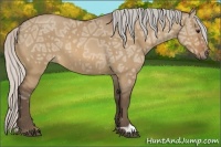 Horse Color:Silver Bay Ice Roan Dun 