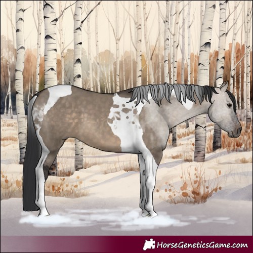 Horse Color:Brown Dun Tobiano 