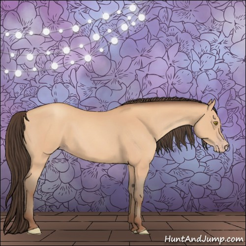 Horse Color:Amber Champagne