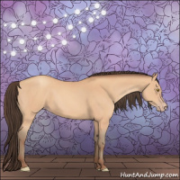 Horse Color:Amber Champagne 