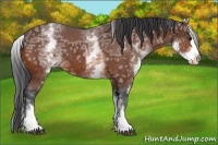 Horse Color:White Spotted Bay Ice Splash