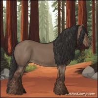 Horse Color:Liver Red Dun Rabicano 