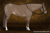 Horse Color:Liver Red Dun Tobiano Rabicano